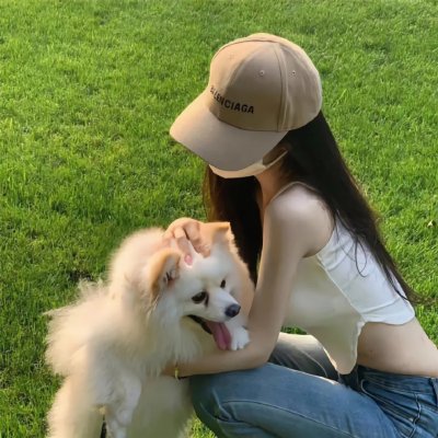 科米的规则 在线观看封面